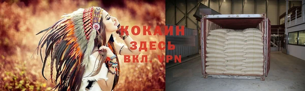 тгк Алзамай