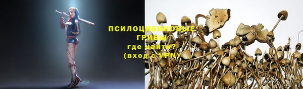 тгк Алзамай
