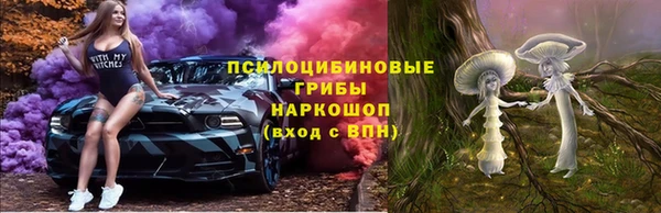 прущие грибы Тайга